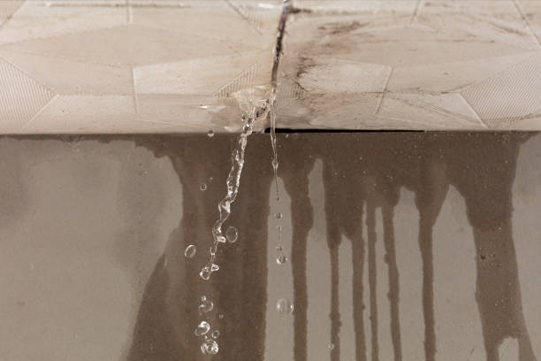 Professional Flood Damage Cleanup technician working in Jacksboro, TN